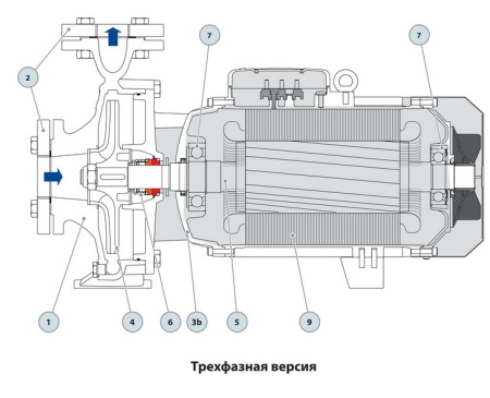 Центробежный насос Pedrollo F 65/250B