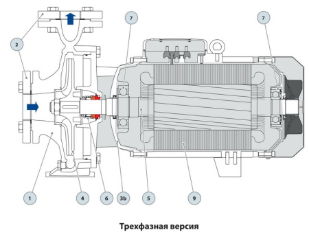 Центробежный насос Pedrollo F 80/250B