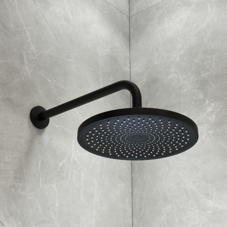 Душевая насадка верхняя круглая, черная матовая, Optima Home, IDDIS, OPH25BPi64