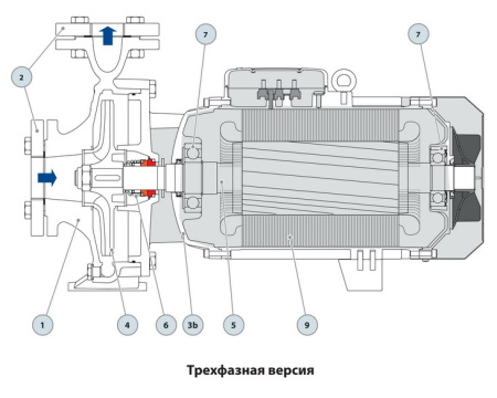 Центробежный насос Pedrollo F 100/160A